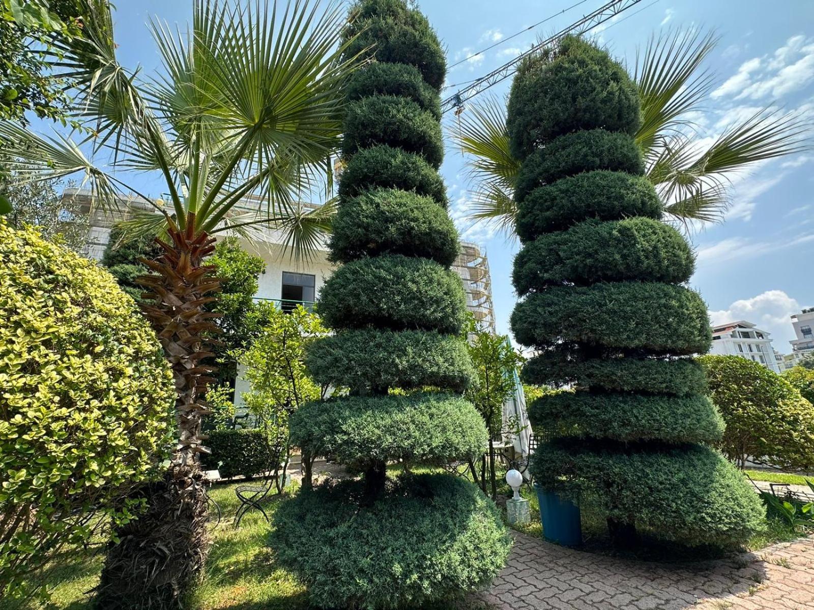 A-Vila Golem  Dış mekan fotoğraf