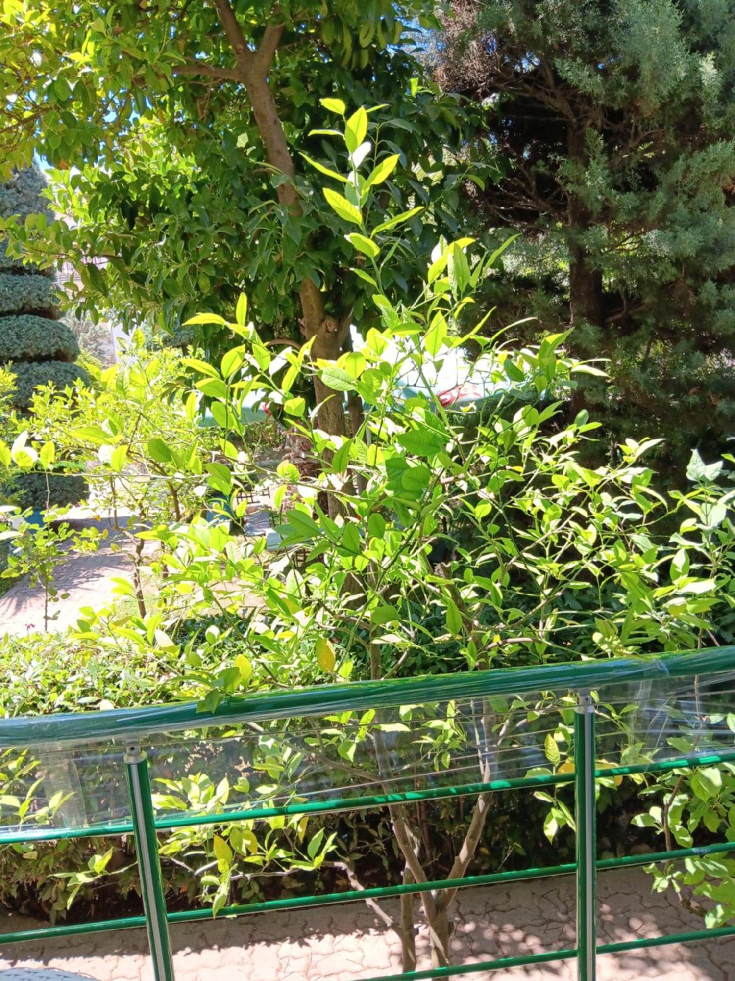 A-Vila Golem  Dış mekan fotoğraf