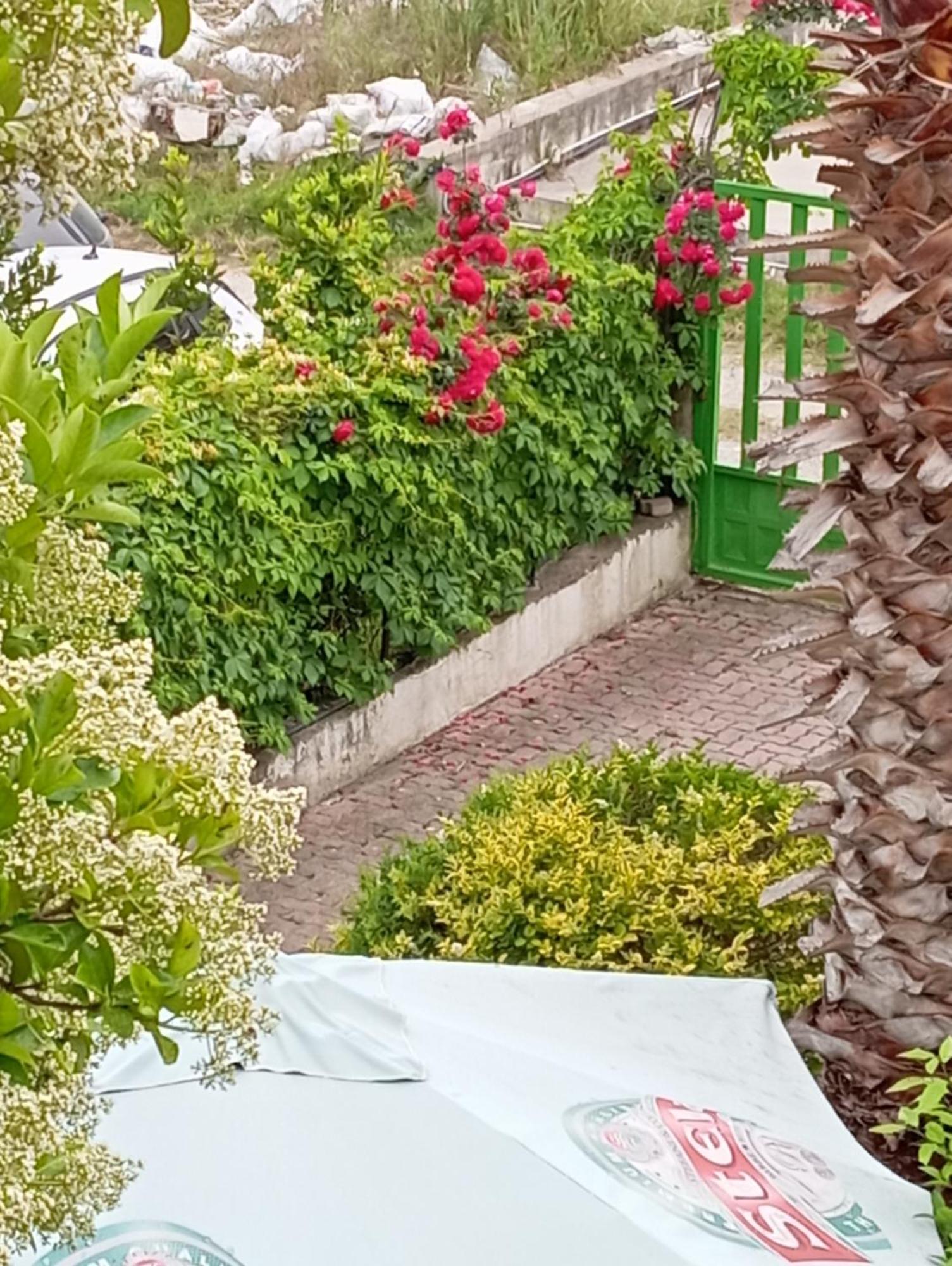 A-Vila Golem  Dış mekan fotoğraf
